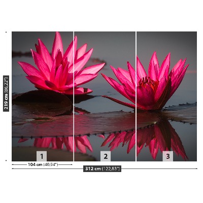 Mural de parede Nenúfares cor-de-rosa