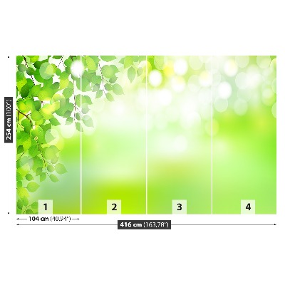 Papel de parede Folhas Verdes