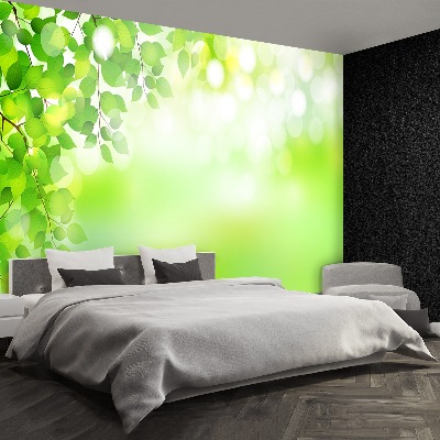 Papel de parede Folhas Verdes