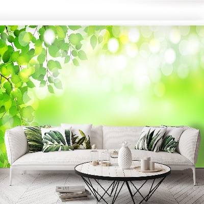 Papel de parede Folhas Verdes