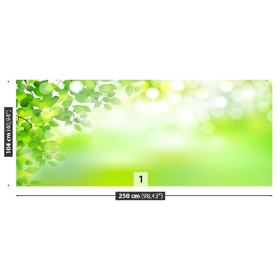 Papel de parede Folhas Verdes