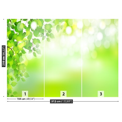 Papel de parede Folhas Verdes