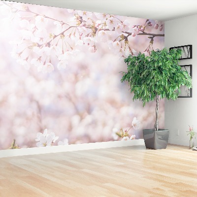 Mural de parede brotos de cerejeira