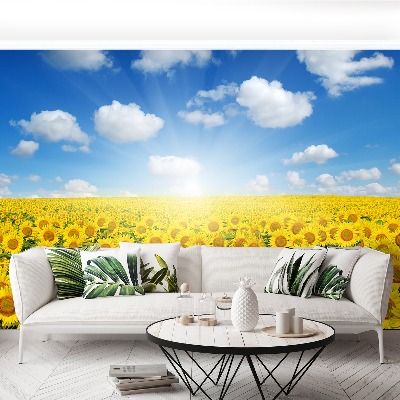 Papel de parede Campos de girassóis