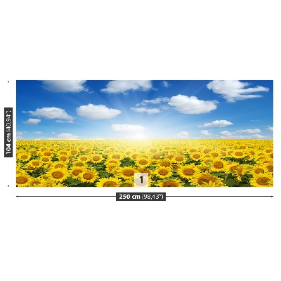 Papel de parede Campos de girassóis