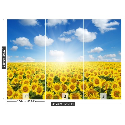 Papel de parede Campos de girassóis