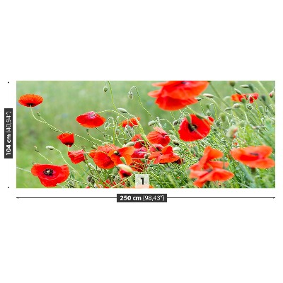 Papel de parede Campo de papoulas