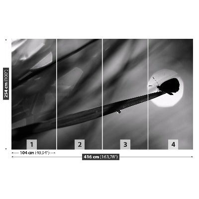 Mural de parede Borboleta