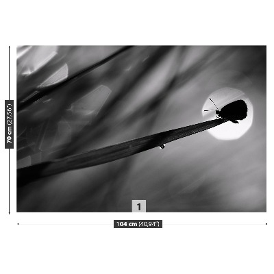 Mural de parede Borboleta