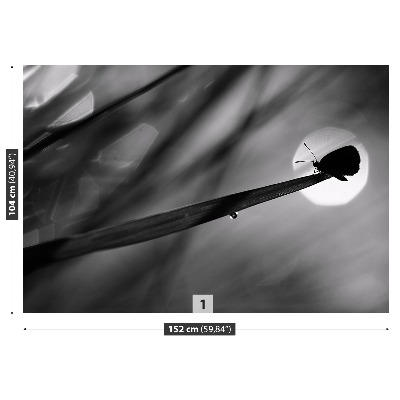 Mural de parede Borboleta