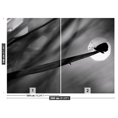 Mural de parede Borboleta