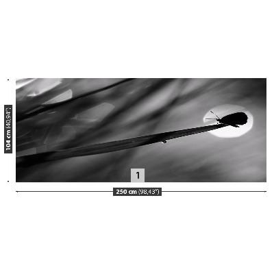 Mural de parede Borboleta