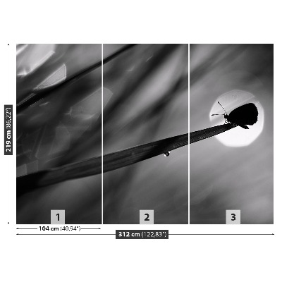 Mural de parede Borboleta