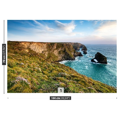 Mural de parede Mar do Penhasco