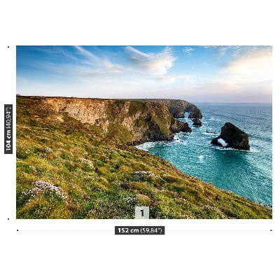 Mural de parede Mar do Penhasco