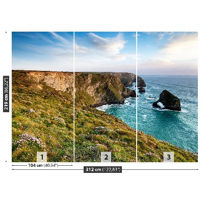 Mural de parede Mar do Penhasco