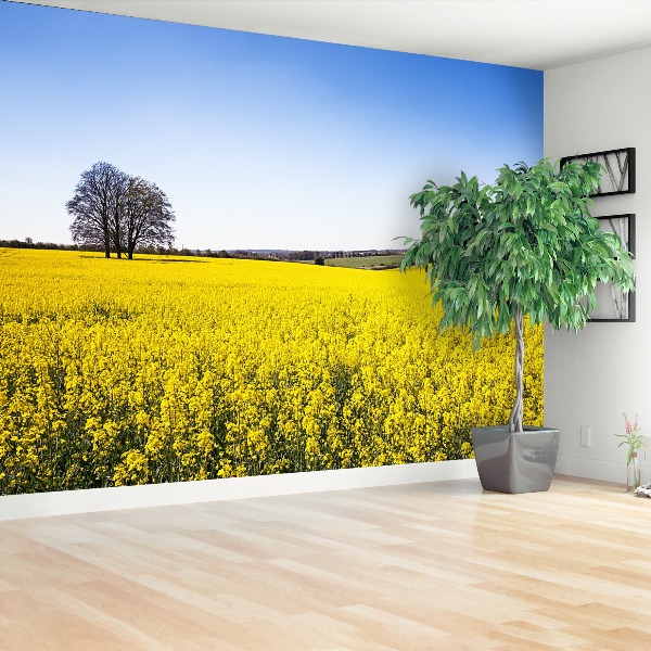 Papel de parede Campo de colza