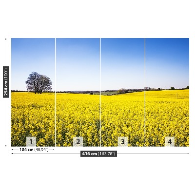 Papel de parede Campo de colza