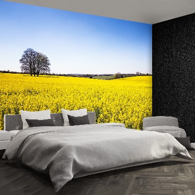 Papel de parede Campo de colza