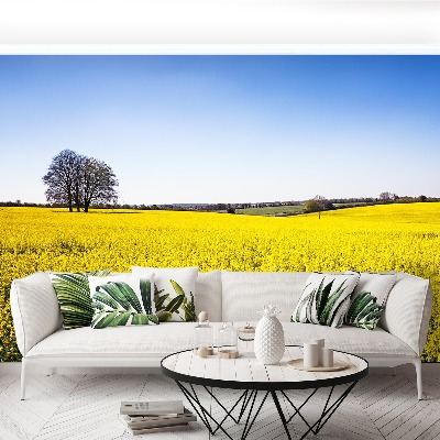 Papel de parede Campo de colza