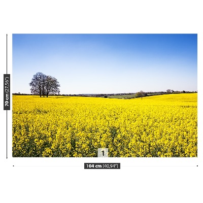 Papel de parede Campo de colza