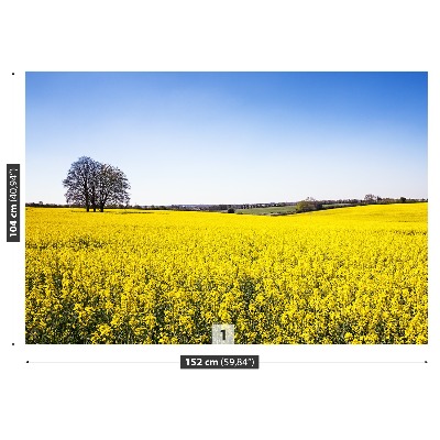 Papel de parede Campo de colza