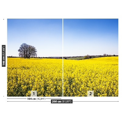 Papel de parede Campo de colza