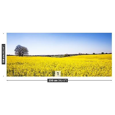 Papel de parede Campo de colza