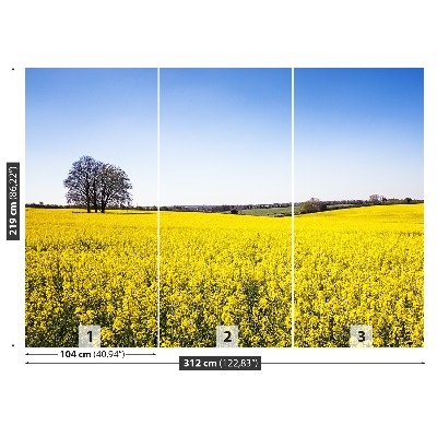 Papel de parede Campo de colza