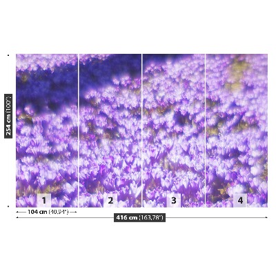 Mural de parede Flores roxas