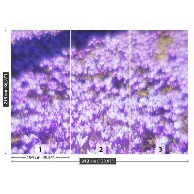 Mural de parede Flores roxas