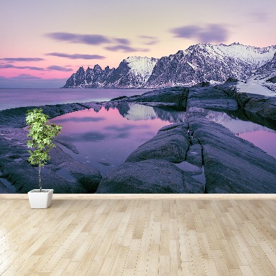 Mural de parede Fiorde de Inverno