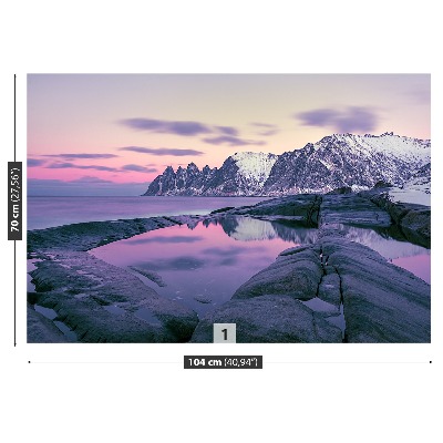 Mural de parede Fiorde de Inverno