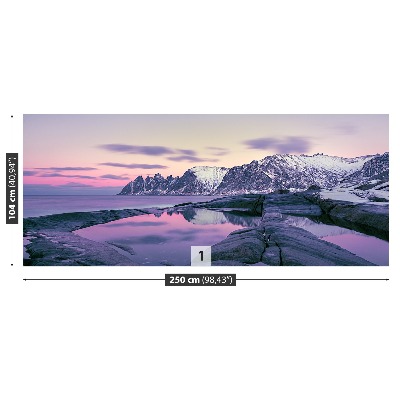 Mural de parede Fiorde de Inverno