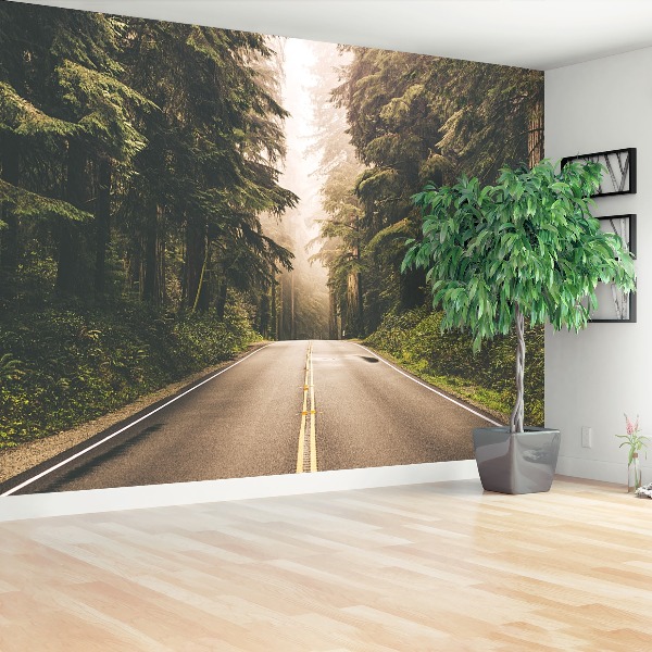 Papel de parede Estrada de neblina