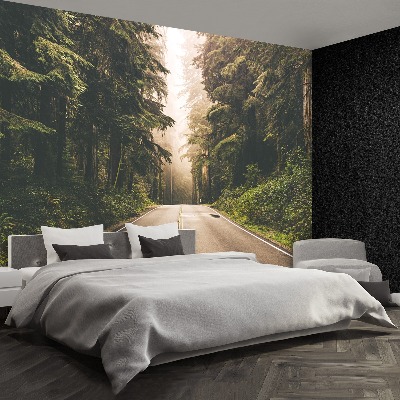 Papel de parede Estrada de neblina