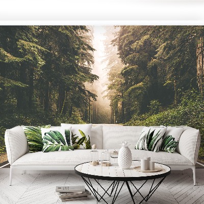 Papel de parede Estrada de neblina