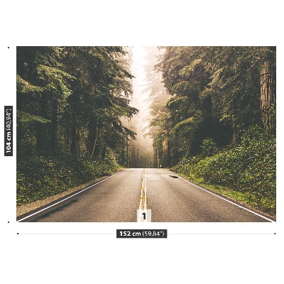 Papel de parede Estrada de neblina