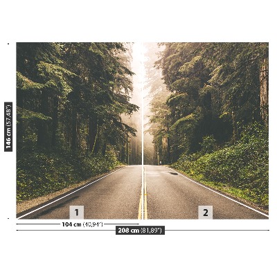 Papel de parede Estrada de neblina