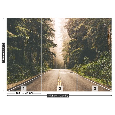 Papel de parede Estrada de neblina