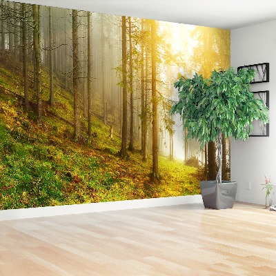 Mural de parede Floresta