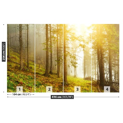 Mural de parede Floresta