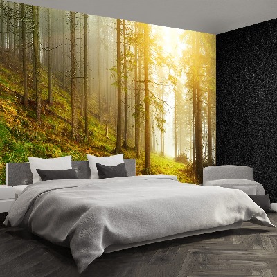 Mural de parede Floresta