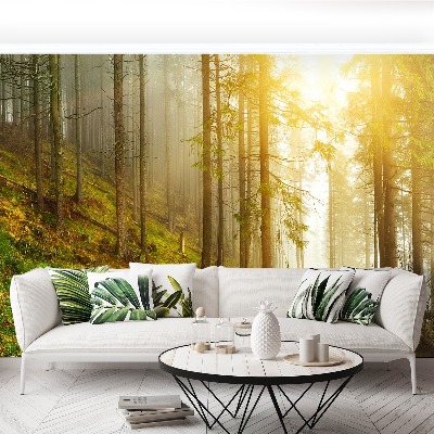 Mural de parede Floresta