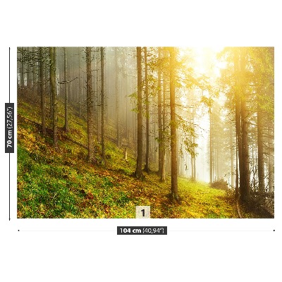 Mural de parede Floresta