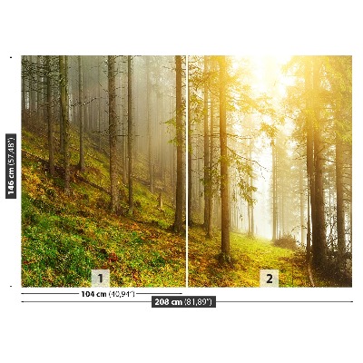 Mural de parede Floresta