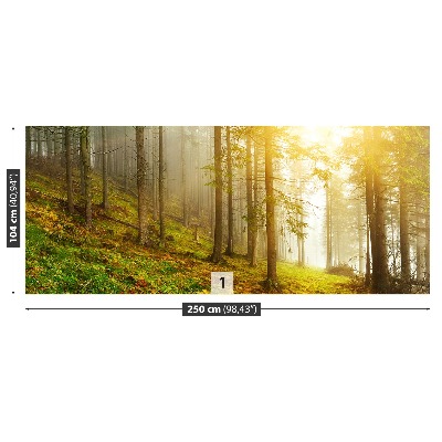 Mural de parede Floresta