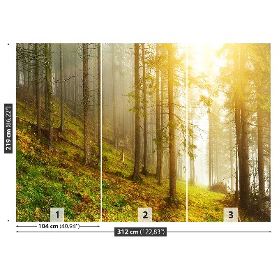 Mural de parede Floresta