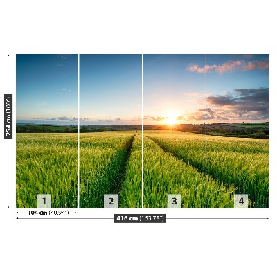 Papel de parede Campos de cevada