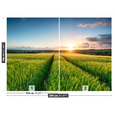 Papel de parede Campos de cevada